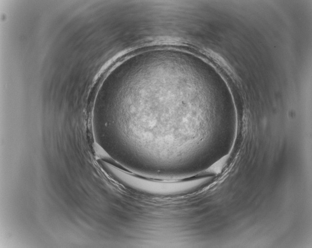 X0000087591212200705041500