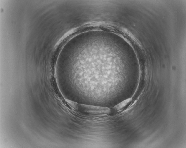 X0000087591213200705041500