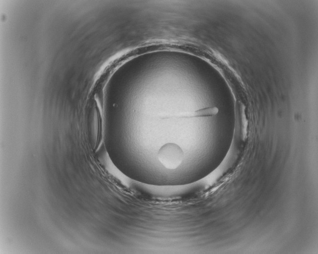 X0000087591214200705041500