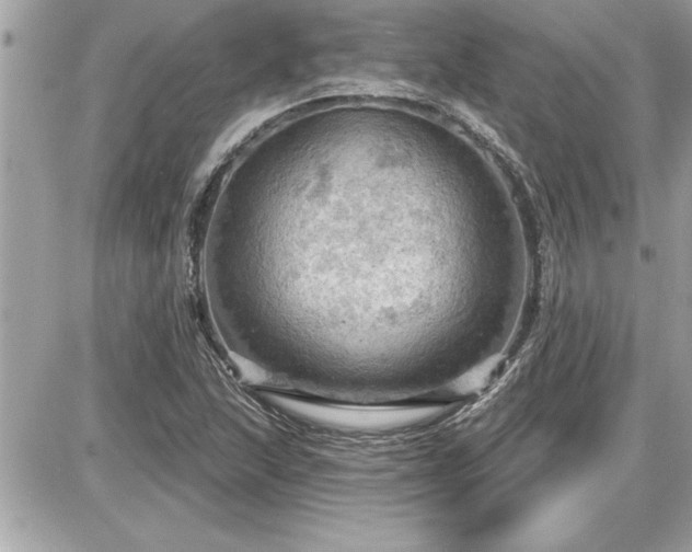 X0000087591215200705041500