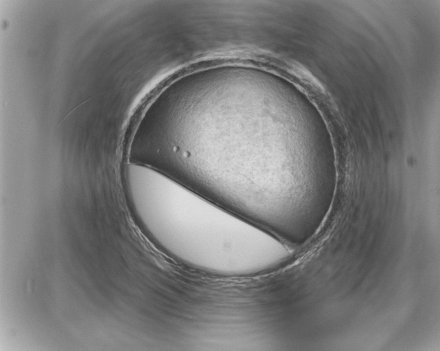 X0000087591216200705041500