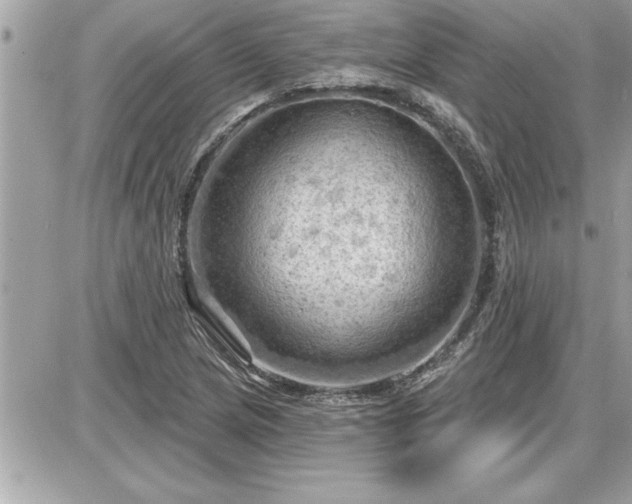 X0000087591217200705041500