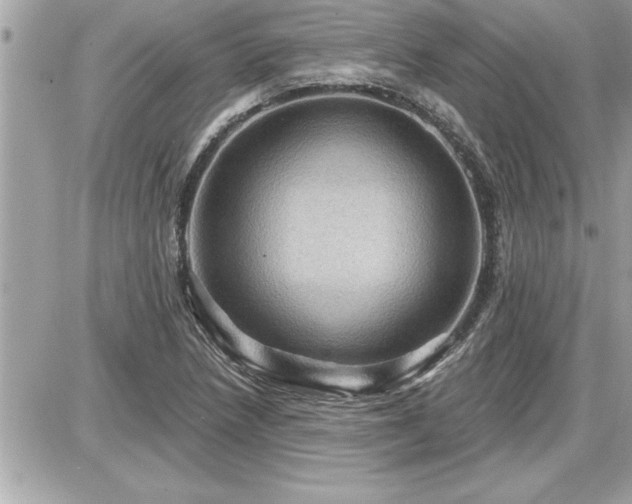 X0000087591218200705041500