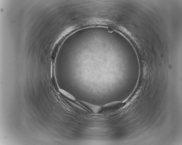 X0000087591219200705041500