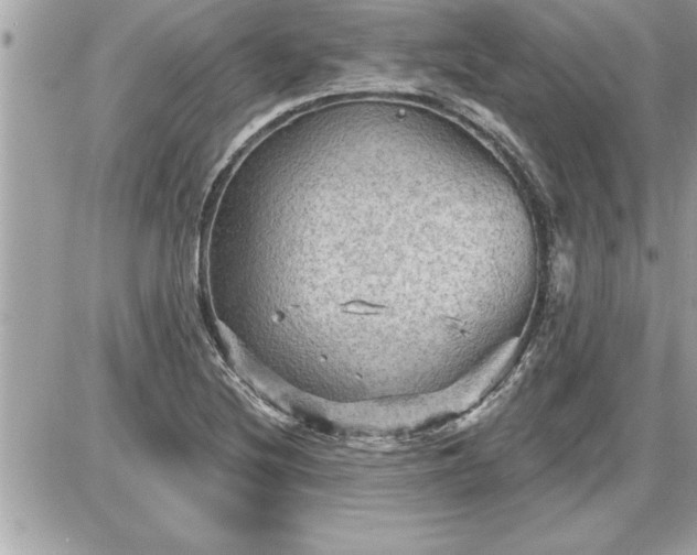 X0000087591220200705041500