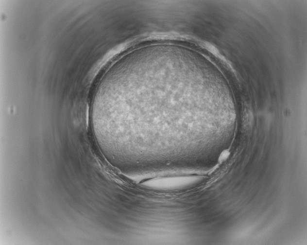 X0000087591221200705041500