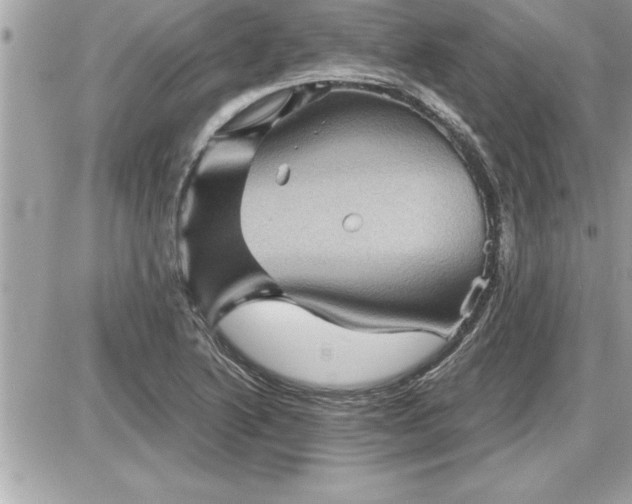 X0000087591222200705041500