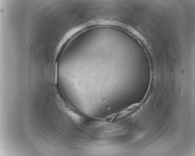 X0000087591223200705041500