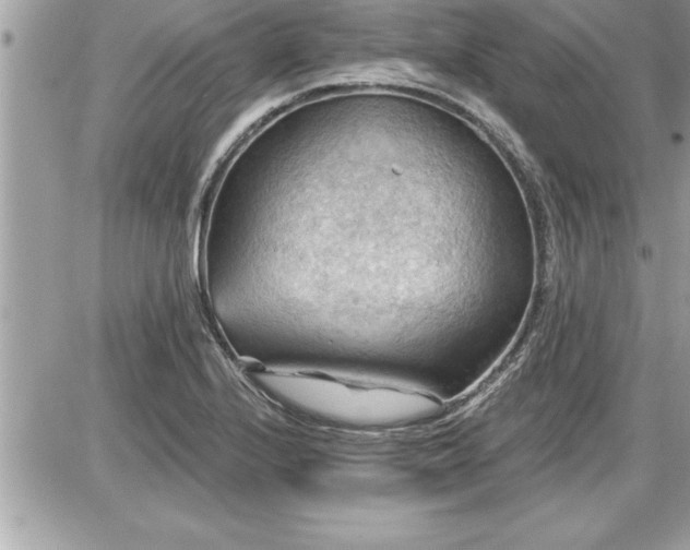 X0000087591224200705041500