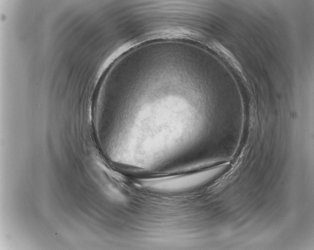 X0000087591226200705041501