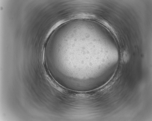 X0000087591227200705041501