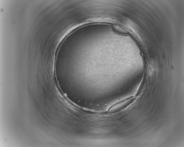 X0000087591228200705041501