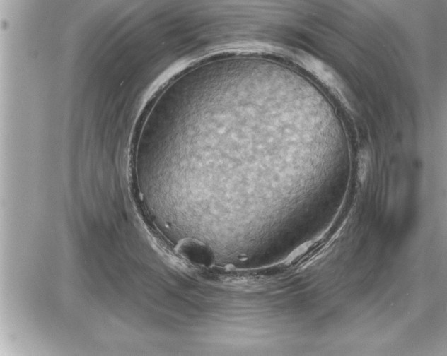 X0000087591229200705041501