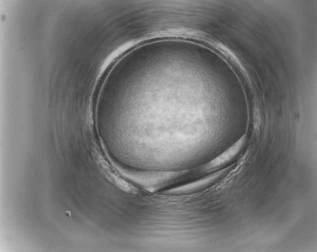 X0000087591230200705041501