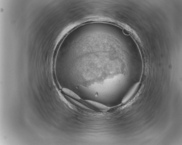 X0000087591231200705041501