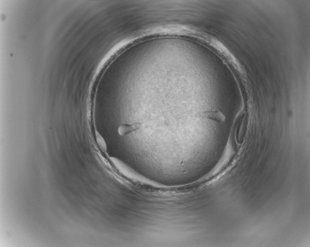 X0000087591232200705041501