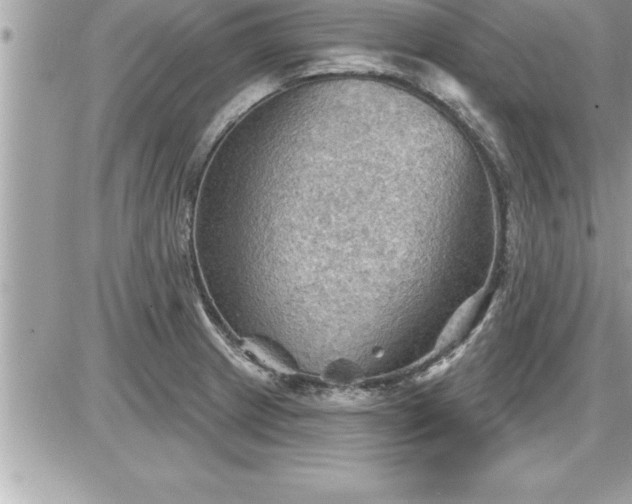 X0000087591233200705041501