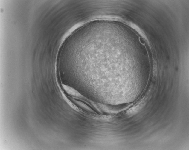 X0000087591237200705041501