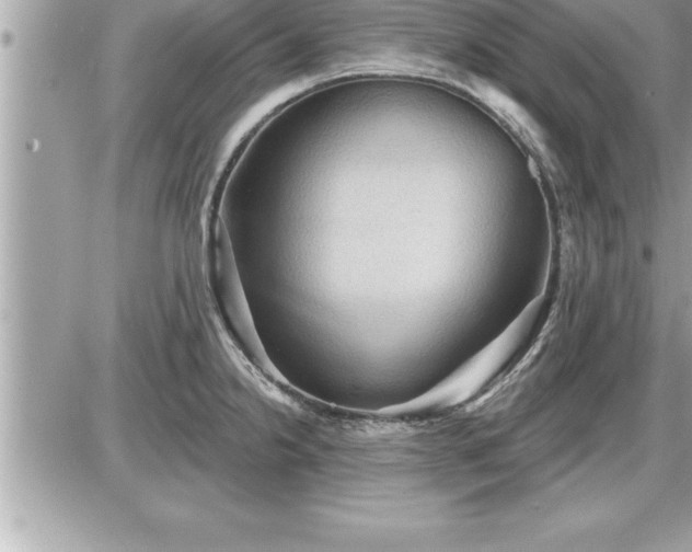 X0000087591238200705041501