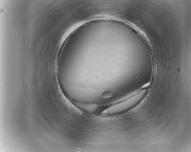 X0000087591239200705041501