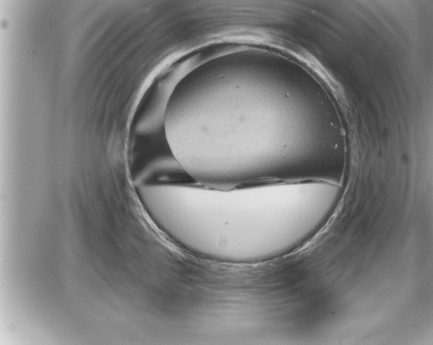 X0000087591240200705041501