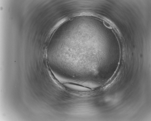 X0000087591241200705041501