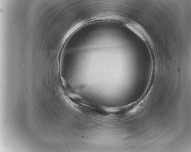 X0000087591242200705041501