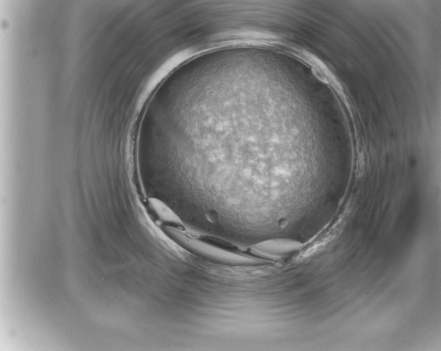 X0000087591243200705041501