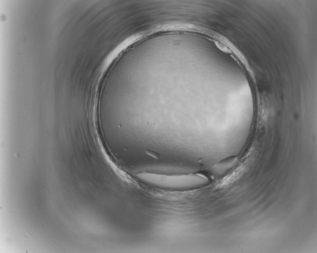 X0000087591245200705041501