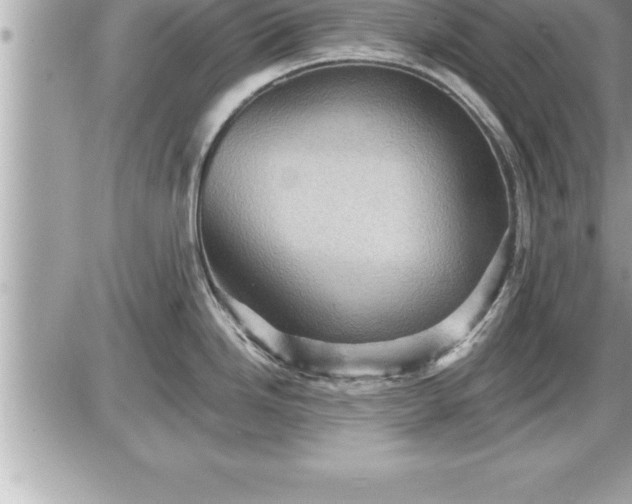 X0000087591246200705041501