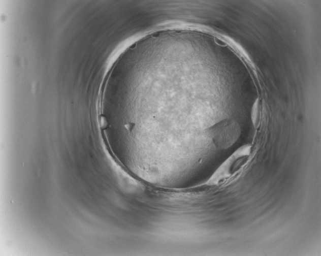 X0000087591247200705041501