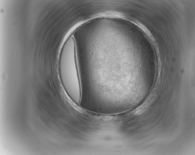 X0000087591248200705041501