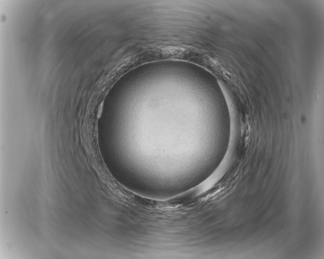 X0000087591249200705041500