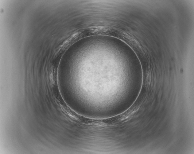 X0000087591250200705041500