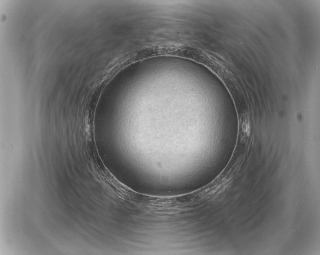 X0000087591252200705041500