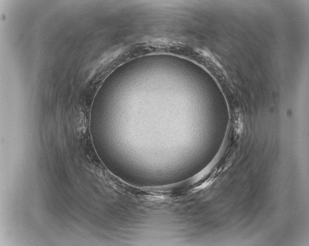 X0000087591253200705041500