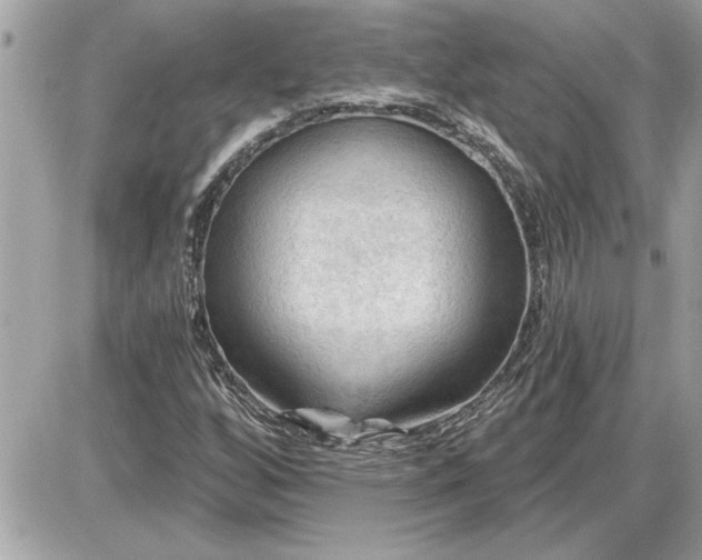 X0000087591256200705041500