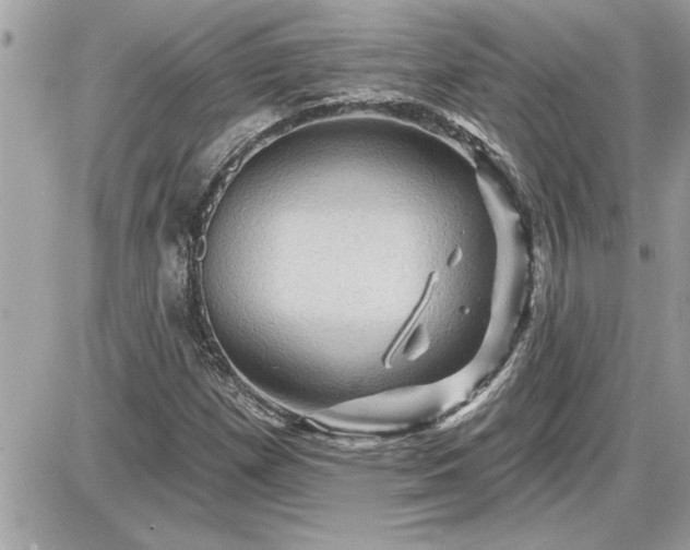 X0000087591257200705041500