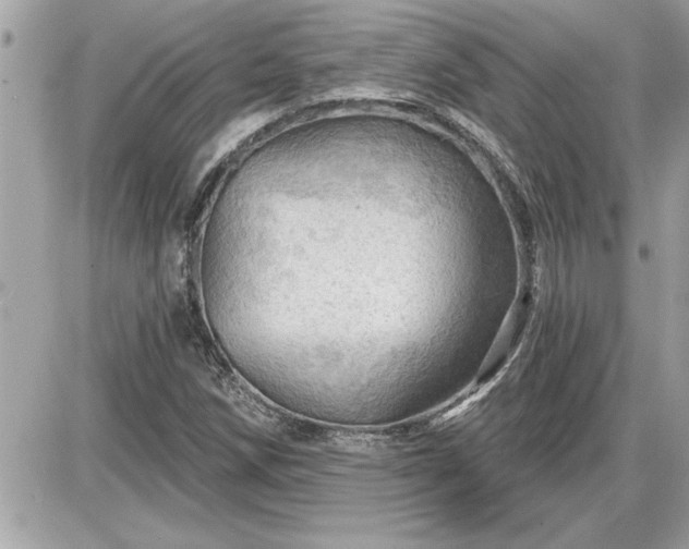 X0000087591258200705041500