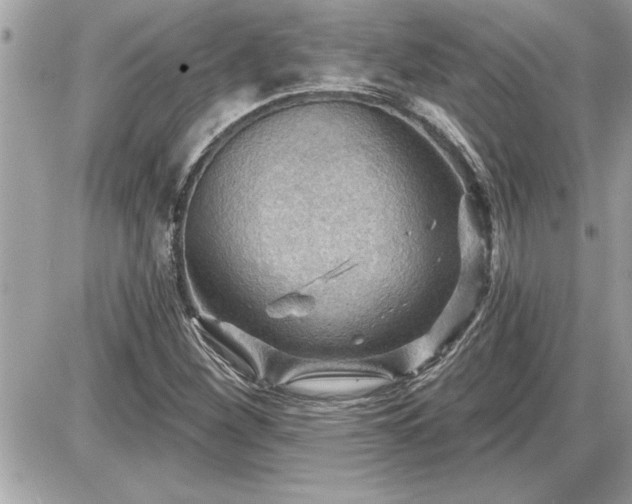 X0000087591260200705041500