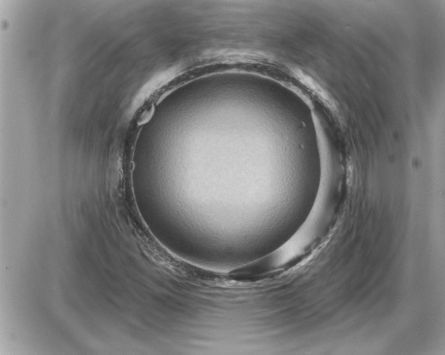 X0000087591261200705041500