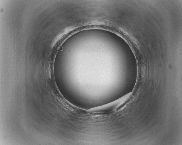 X0000087591262200705041500