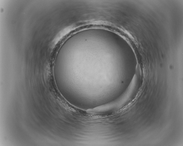 X0000087591263200705041500