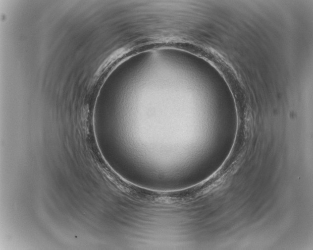 X0000087591265200705041500