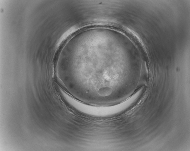 X0000087591267200705041500