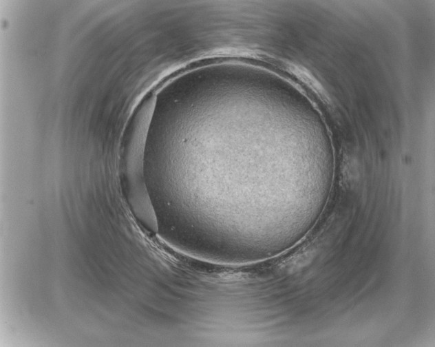 X0000087591268200705041500