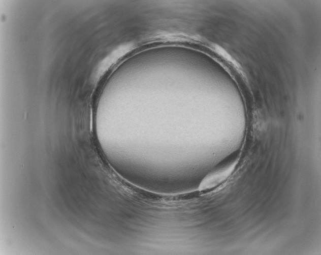 X0000087591269200705041500