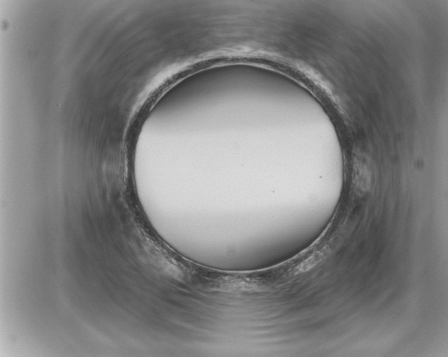 X0000087591270200705041500