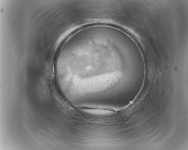 X0000087591271200705041500