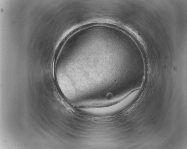 X0000087591272200705041500